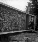 Eget hus, Lådan
Exteriör, baksidan med vedupplägg och Erskine