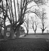 Trädgårdsmästarbostad vid Kungsängen.
Exteriör.