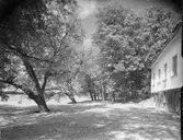 Skytteholm
Exteriör
