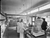 Konsum, Mälarhöjden
Interiör