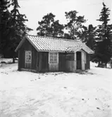 Runskog
Exteriör