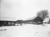 Runskog
Exteriör