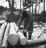 Björnsö skogsskifte
Skogsarbetare mäter timmer
Exteriör