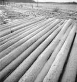 Björnsö skogsskifte
Timmer under snötäcke