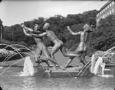 Arildfontänen med skulpturen Lekande ungdom av konstnären Axel Wallenberg
Exteriör