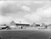 Ladugård, Knista
Exteriör