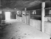 Stall vid Dösjebro, Västra Karaby
Interiör