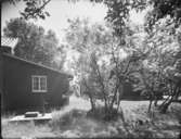 Bebyggelse, Vänersnäs
Exteriör