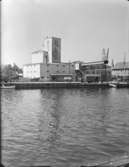 HLC Falkenberg
Exteriör