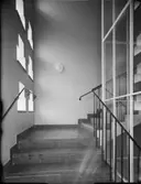 Trappa med ljusinsläpp
Interiör