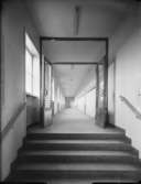 Skola
Korridor
Interiör