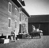 Öster Ledinge sågverk
Lada med en man som lastar av säckar från en vagn
Exteriör