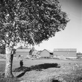 Rösa gård
Exteriör