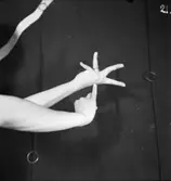 Den indiske dansaren Ram Gopals dansensemble