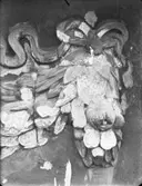 Detalj av utsmyckning på Gamla Rådhusets fasad