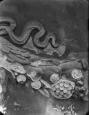 Detalj av utsmyckning på Gamla Rådhusets fasad