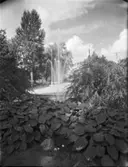 Folkets park, Eskilstuna
Fontän