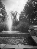 Folkets park, Eskilstuna
Fontän