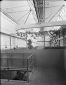 Industribyggnad, Stathmos
Verkstad med växter
Interiör