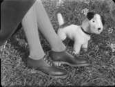 Skor och leksakshund
Annonskampanj för skor hösten 1948