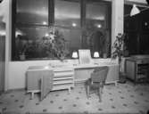 Kontor med skåp och växter
Interiör