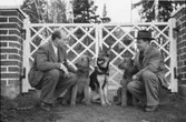 Villa Ulfhaga med familjen Sandström, Velamsund
Två män med hundar famför grindarna