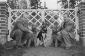 Villa Ulfhaga med familjen Sandström, Velamsund
Två män med hundar famför grindarna