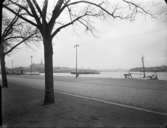 Strandvägen mot Nordiska museet och Djurgården
Exteriör