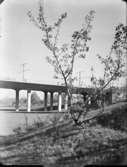 Viadukten över Rålambshovsparken
Fotografering för boken 