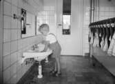 Arkitekturtagning i södra Sverige
Daghem med en pojke vid lågt plaverat handfat i tvättrum
Interiör