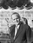 Man med papegoja på axeln