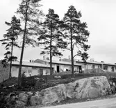 Radhus i Vällingby
Exteriör, radhusområdet Atlantis. Fasader mot bergsknalle med tallar.