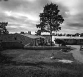 Radhus i Vällingby
Exteriör, radhusområdet Atlantis med hög tall, gräsmatta i förgrunden