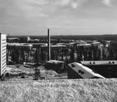 Bostadsområde
Exteriör, utsikt över område med flerbostadshus.