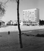 Bandhagens centrum
Exteriör, solbelyst vinterlandskap