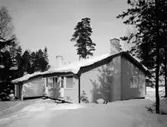 Standardhus, Hultsfred
Exteriör, enplanshus vid barrträd i vinterlandskap. Experimenthus