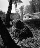 villa Ahnborg
Exteriör