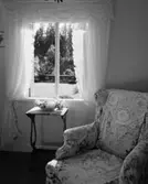 Trädgårdsanläggning
Interiör, fåtölj vid fönster mot grönskande trädgård