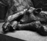 Parkområde
Skulptur av liggande kalv i närbild