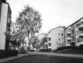 Flerbostadshus
Exteriör, bostadsområde, entré- och gavelfasader med högt lövträd.