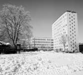 Kanslihus
Exteriör, höghus i vinkel med lägre hus. Vinterlandskap med snö på träd och mark i förgrunden.