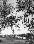 Skönstaholm
Exteriör, radhusområde. Grenverk och öppet fält i förgrunden