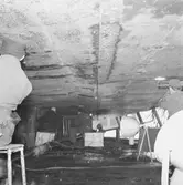 Prins Carl bottenskador