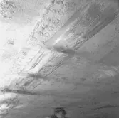 Prins Carl bottenskador