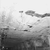 Prins Carl bottenskador