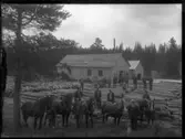 Män och hästar framför timmerupplag i Flishult, troligtvis ett sågverk.