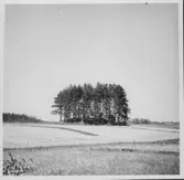 Bolstad. Kårebyhögen