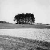 Bolstad. Kårebyhögen