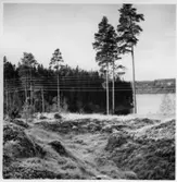 Dals-Ed, Karl XII:s skansar