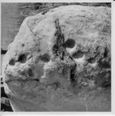 Dalskog, Upprensing och flyttning av skålgropssten